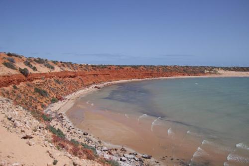 Sharkbay (Denham)